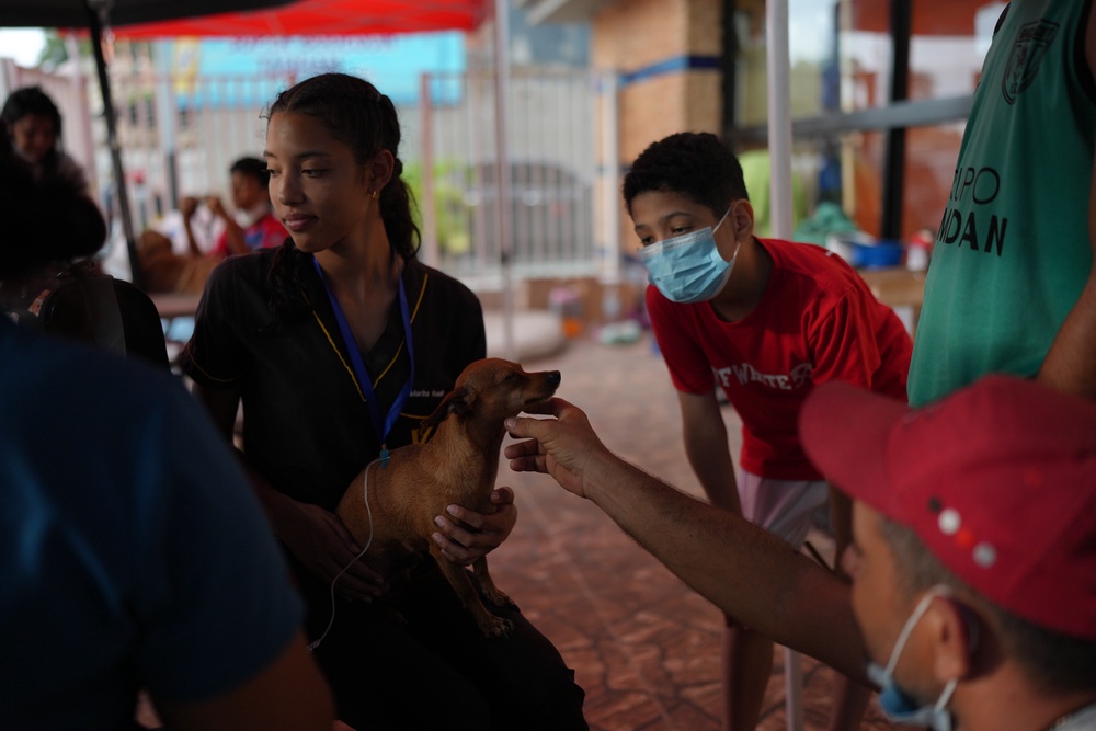 A volunteer holds a dog receiving treatment at a McDonald's restaurant being used as a temporary health center and pet reunification center (AP Photo/Matias Delacroix)