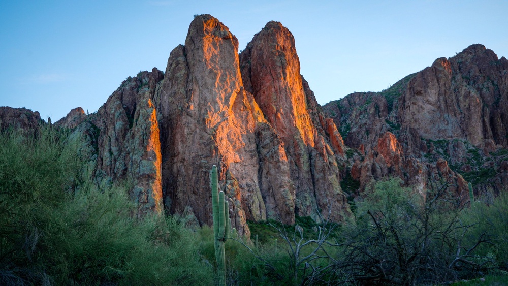 A stretch of Arizona's Tonto National Forest, where Mark Aaron Gatz had been living for some eight years, according to court filings (Forest Service)