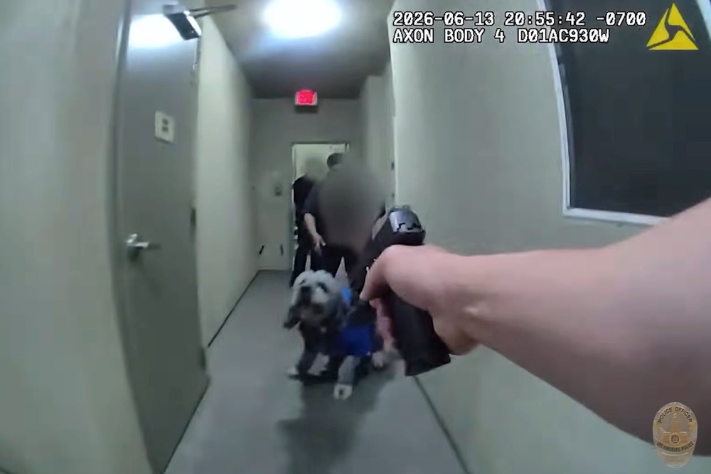 Officers were called to the Canoga Park apartment when a neighbor grew concerned over residents’ repeatedly saying, ‘Oh my God,’ statements they later learned were celebrations over the Knicks NBA Finals win (LAPD)
