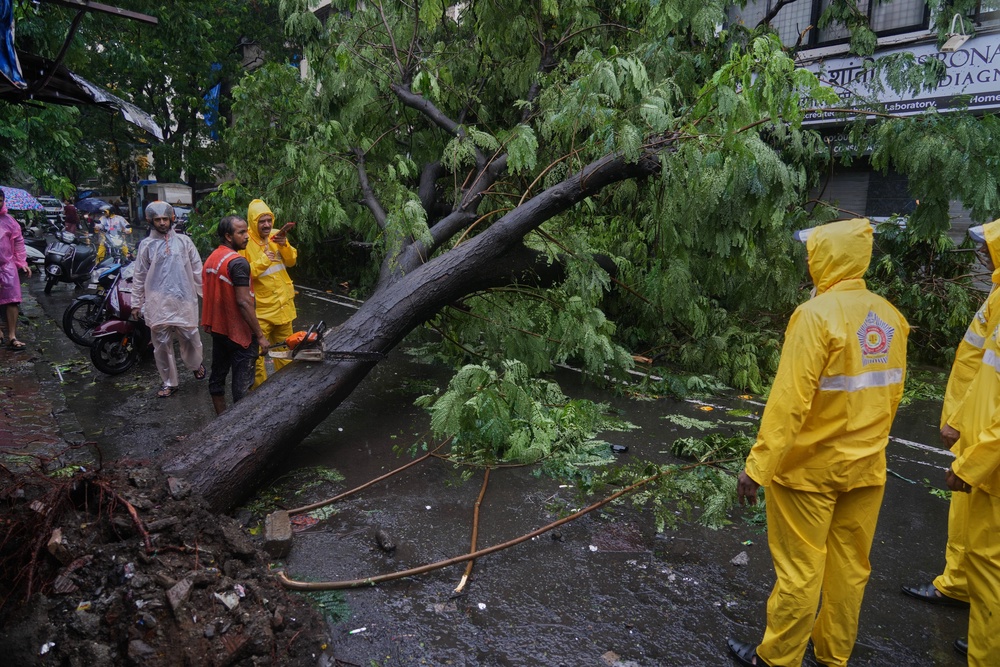 Police officers stand near a tree that fell onto a street during monsoon rains in Mumbai (AP)