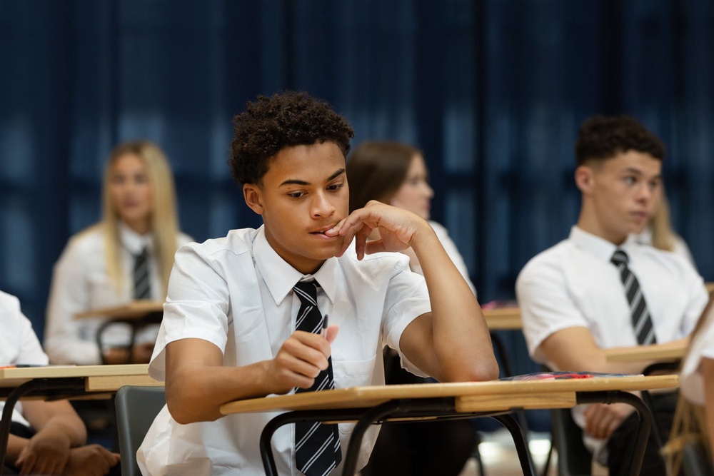 In a report last year, Prof Smithers said the talents of boys are not being developed as ‘fully’ as they could be (Getty/iStock)