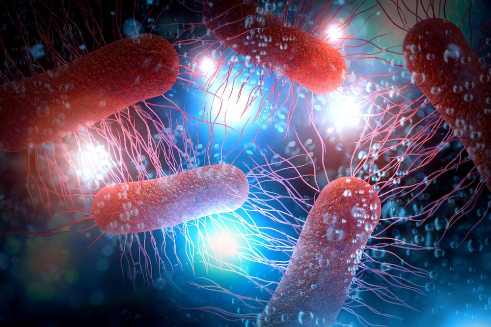 E. coli are bacteria that can make people sick with severe stomach cramps, diarrhea and vomiting (Getty Images/iStock)