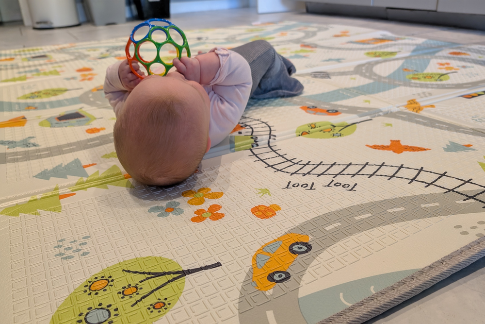 This features an engaging design (Hannah Cowton-Barnes/The Independent)