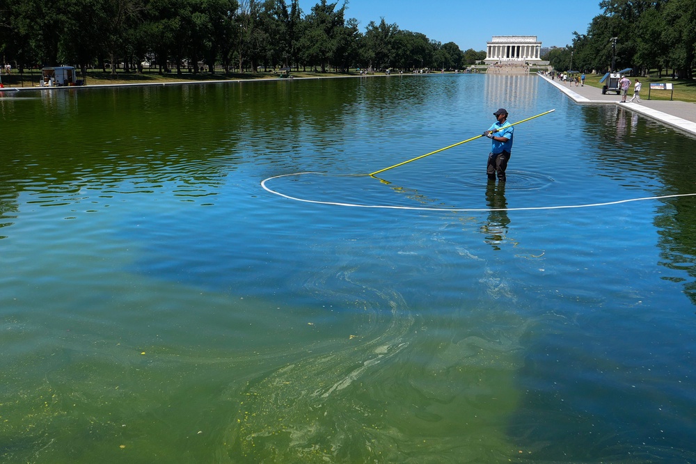 Trump’s latest renovation project in Washington, the Lincoln Memorial Reflecting Pool, went viral on TikTok for turning green from algae (Getty Images)