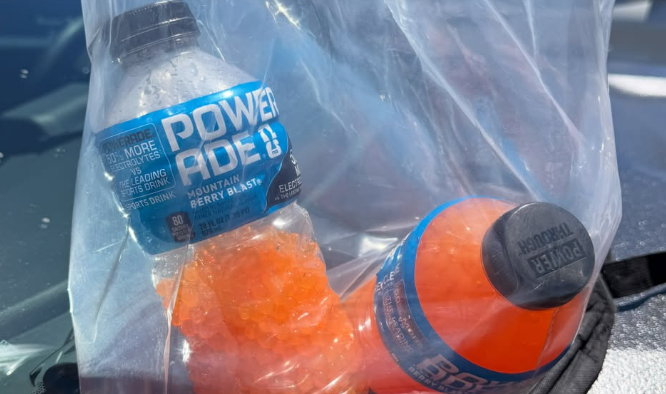 The dynamic duo are accused of drinking booze from Powerade bottle (San Mateo Police Department)