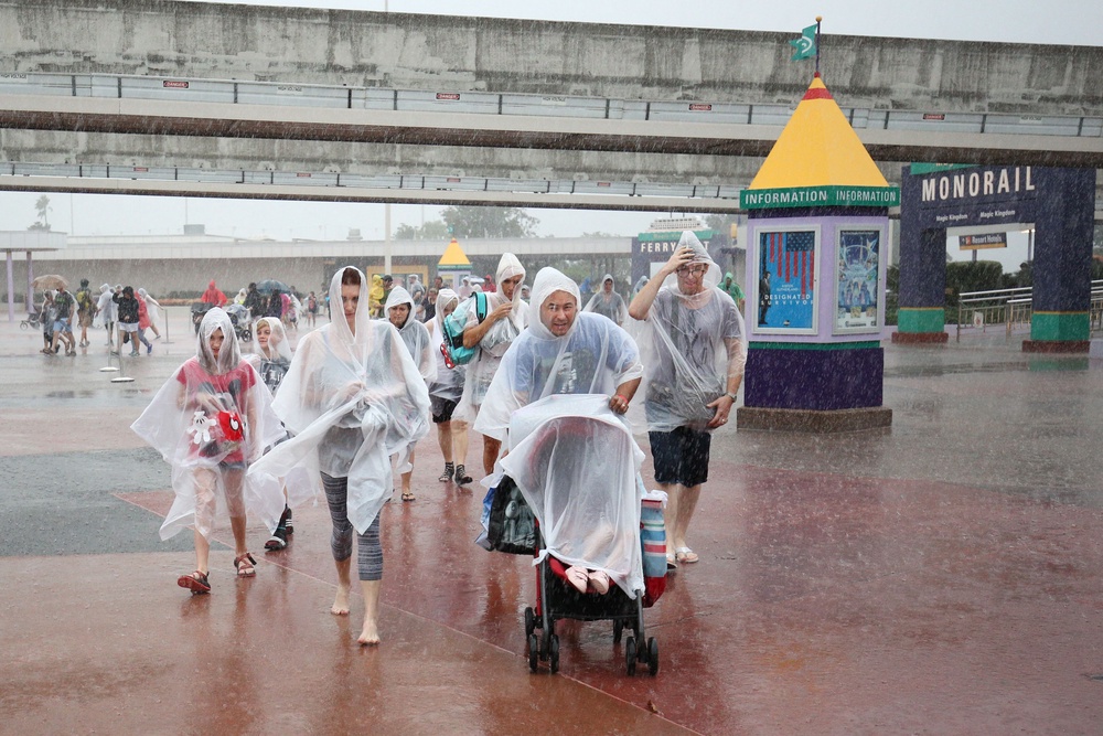 Disney works to remove standing water from its parks to help keep mosquitoes away (AFP via Getty Images)