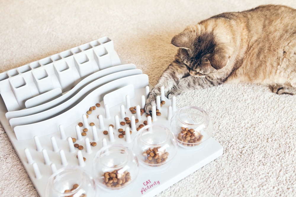 Puzzle feeders and treat toys turn mealtime into a fun challenge that taps into cats’ natural hunting instincts (Getty Images)