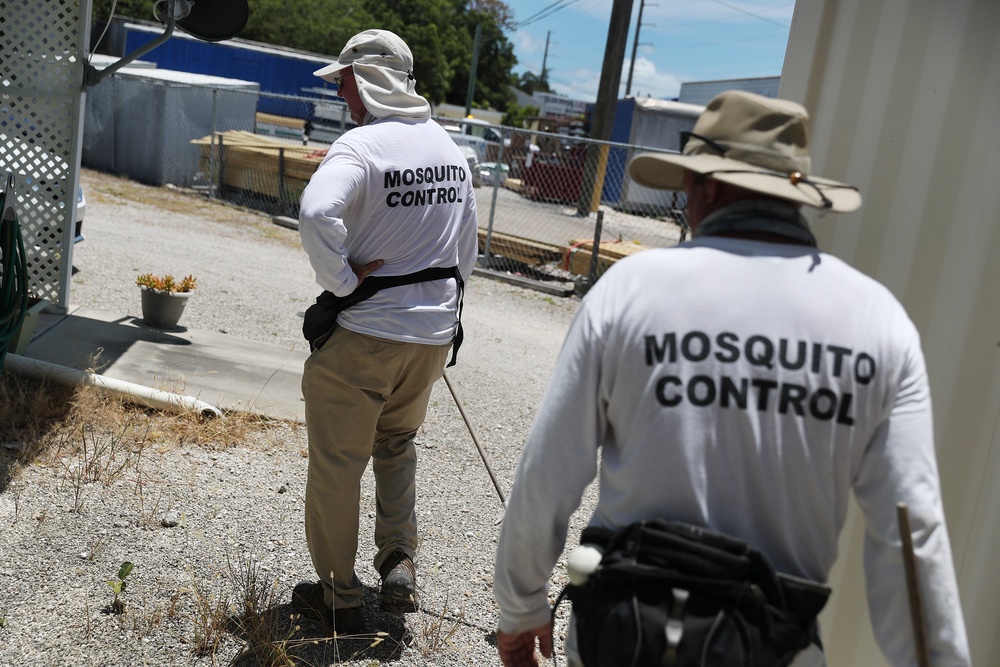 Some natural home remedies can help protect your yard from mosquitoes - and they are the same tricks used by Disney? (Getty Images)