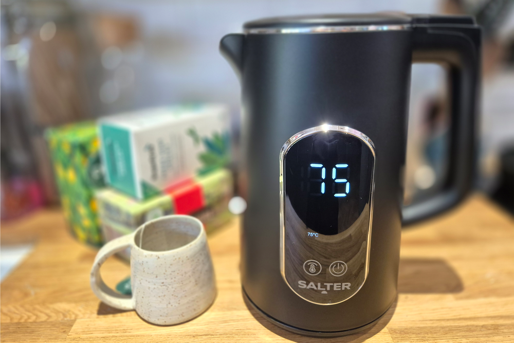 This is simple temperature control kettle with a generous capacity (Kerry Law/The Independent)