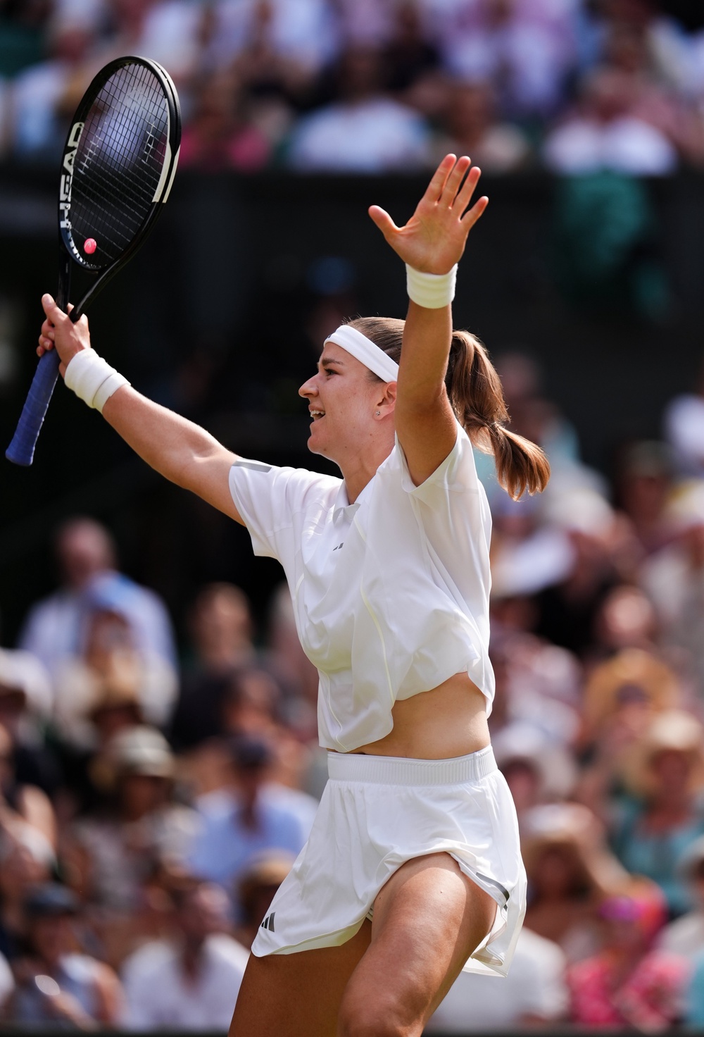 Muchova celebrates a dramatic victory (Mike Egerton/PA) (PA Wire)