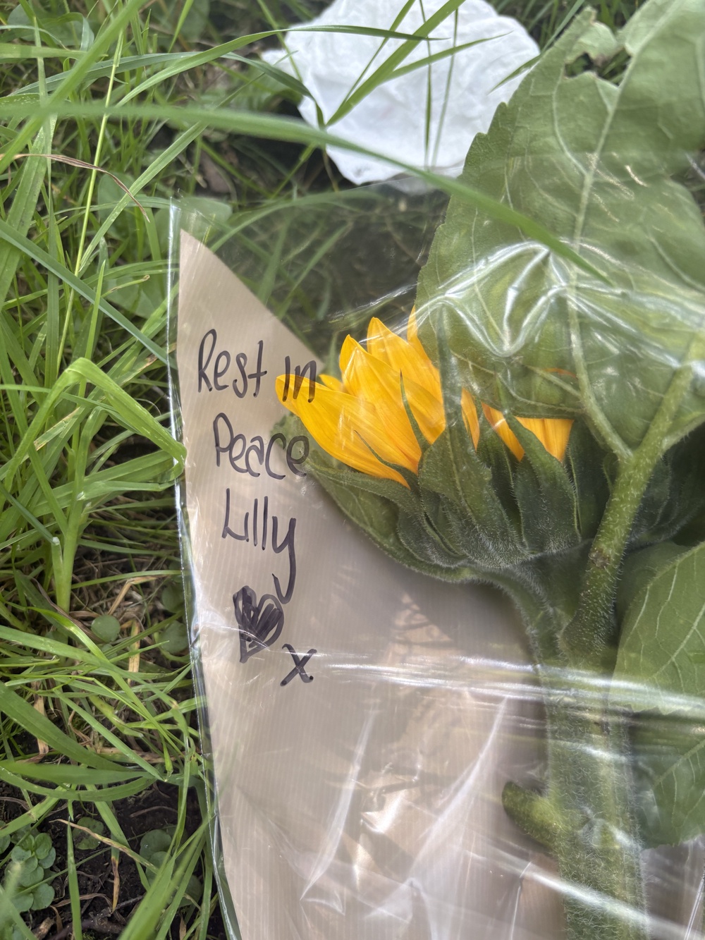 Floral tributes left near Pilgrims Park in Blaina, Gwent, following the discovery of missing 14-year-old Lilly (PA)