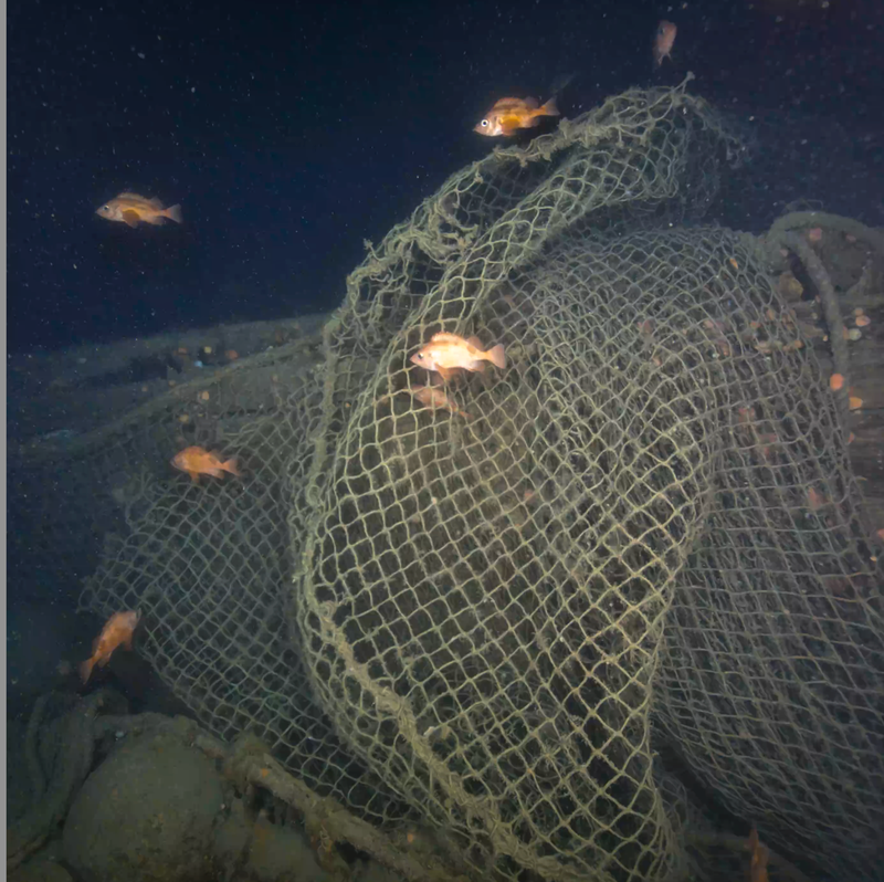 Portions of the wreck of Quest are draped in fishing nets (Canadian Geographic and Voyis)