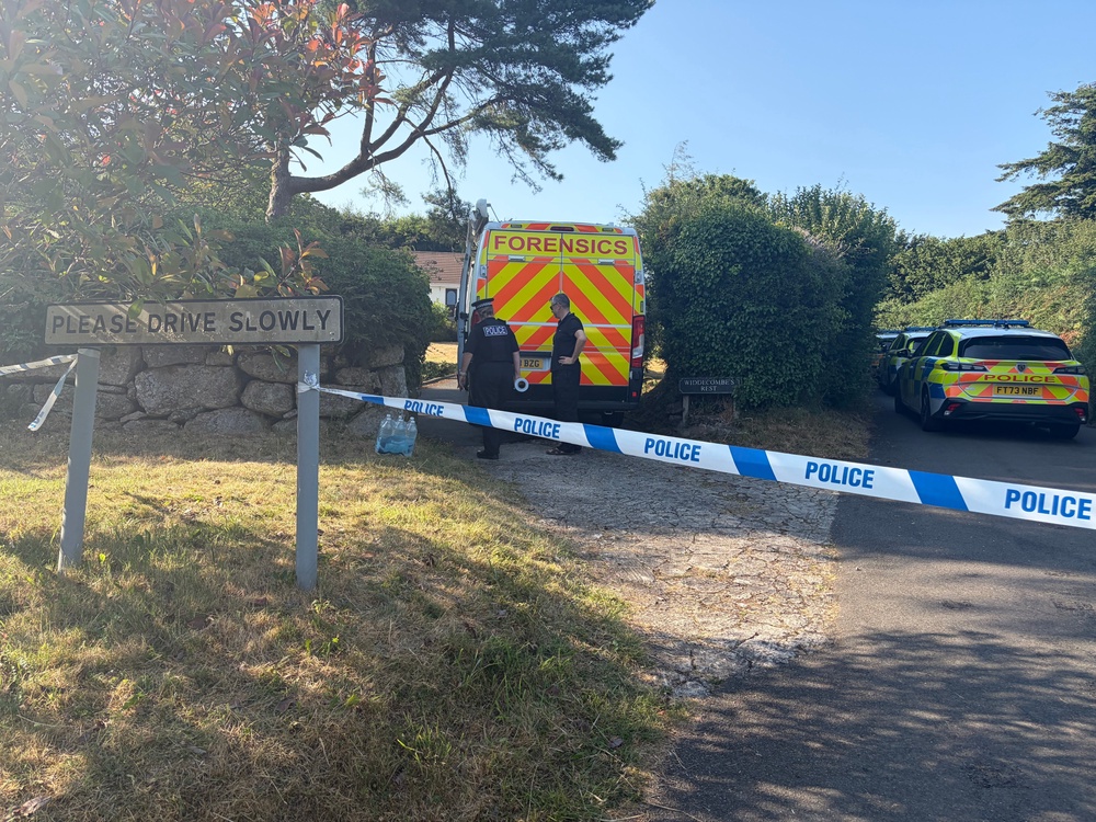 Police presence at Ann Widdecombe's house (Jacqui Merrington)
