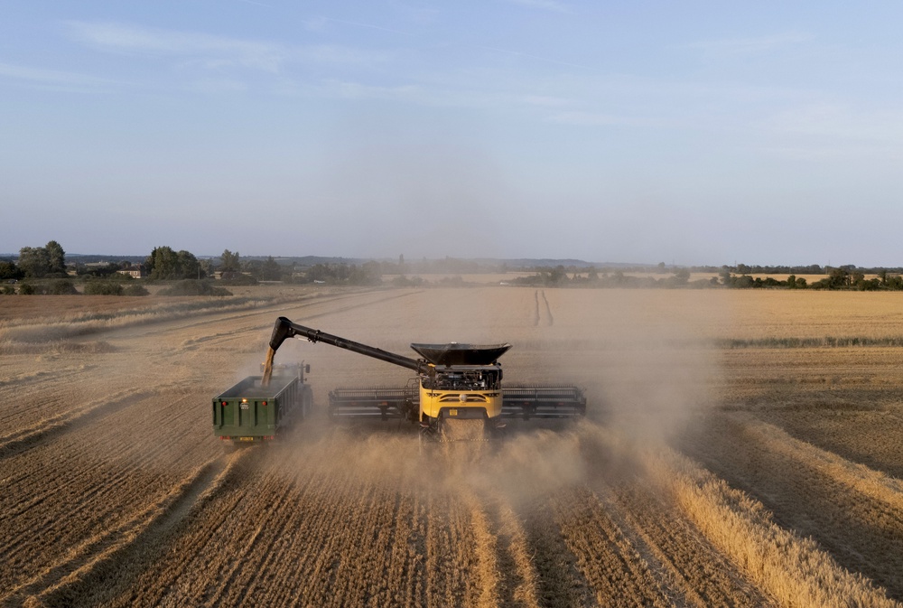 A combine harvester cuts corn in the evening sunshine on the Romney Marsh in Kent (Gareth Fuller/PA) (PA Wire)