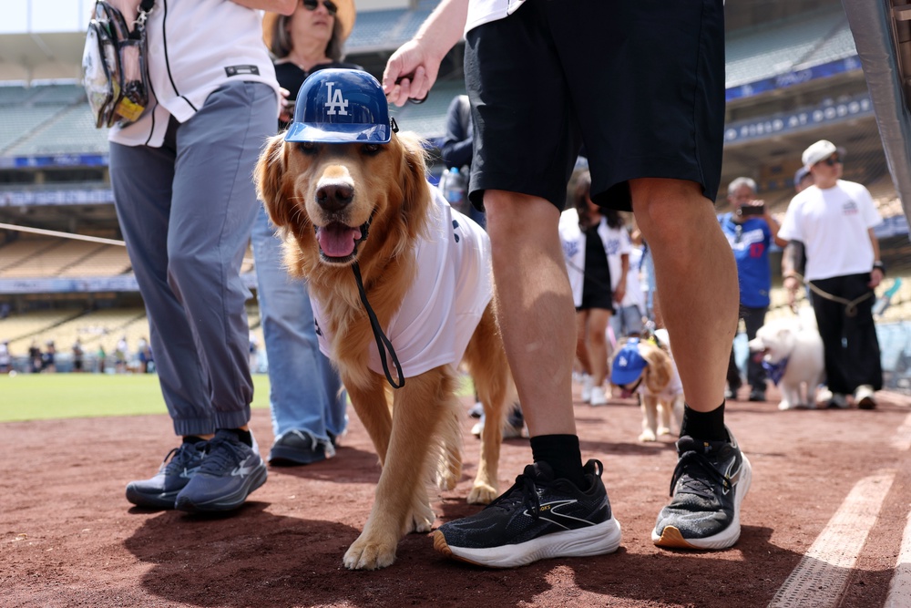 Pet sitting pays an average of $21.12 an hour, according to career site Indeed (Getty)