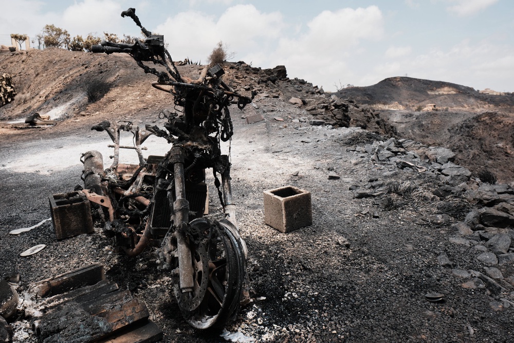 A burnt area affected by wildfires in Bedar, near Almeria (AP Photo/Gregorio Marrero) (AP)