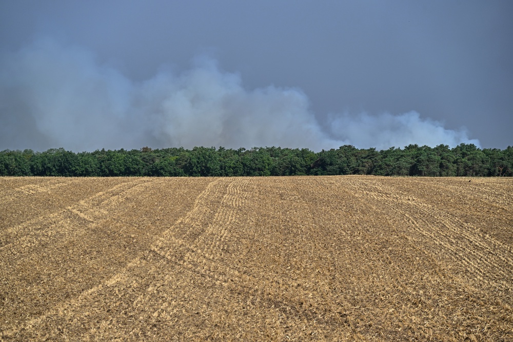 Smoke billows rise into the sky during wildfires at the historic Fontainebleau forest, about 60 km (37 miles) south of Paris (AP)