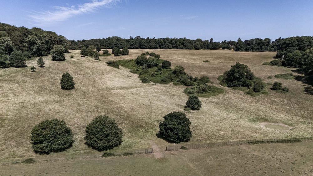 Dry grass in the fields surrounding Ashton Court Estate near Bristol (Ben Birchall/PA) (PA Wire)
