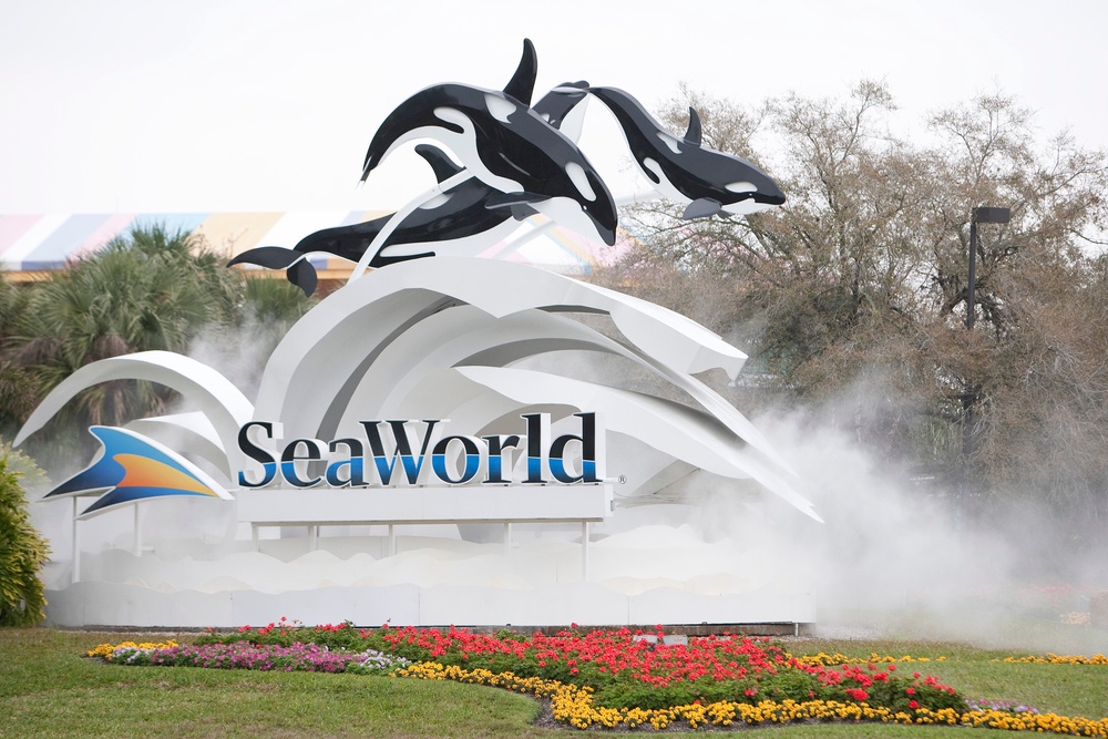 SeaWorld has described the transfer of the whales as a ‘historic effort.’ (Getty Images)