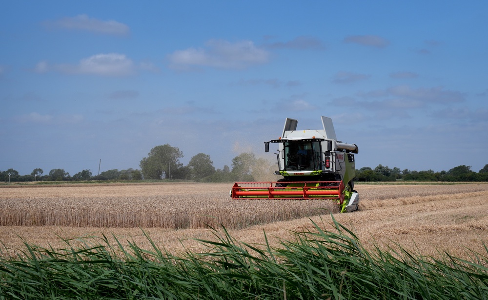 A combine harvester cuts corn on the Romney Marsh near Ashford in Kent (Gareth Fuller/PA) (PA Wire)