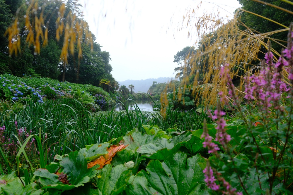 This wooded 26 acre sub-tropical ravine garden with a coastal backdrop descends to its own beach on the beautiful Helford River (Alamy/PA)