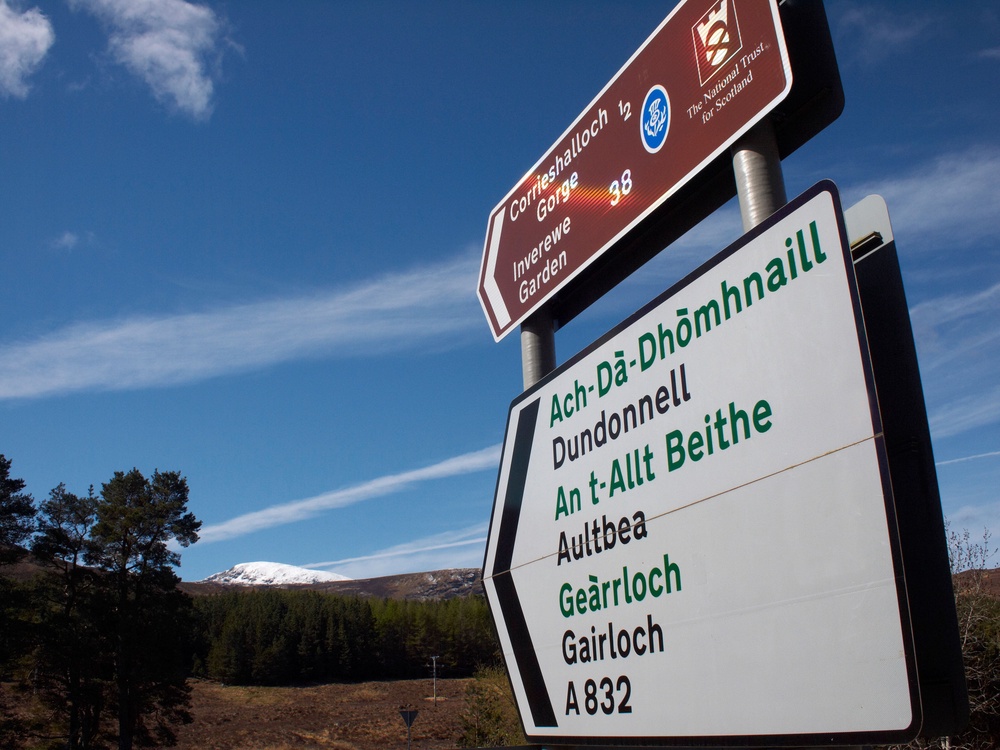 The Reform amendment did not mention Scots or Gaelic (PA)