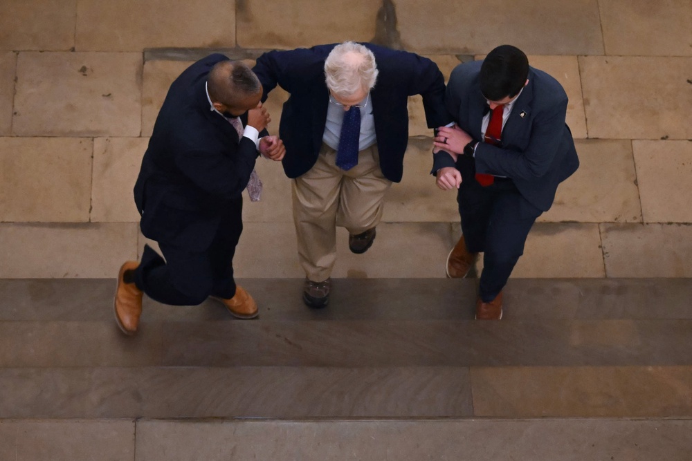 A digital forensics expert confirmed to the Post there is no evidence the image was AI-generated following baseless accusations that it was fake (AFP via Getty Images)