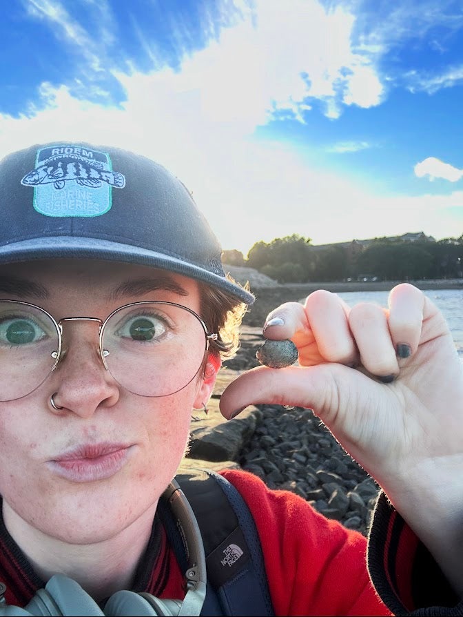 Tips from local clammers and researchers inspired the scientists to hunt for living Manila clams in the region, which they eventually discovered (El Fernekees Hartshorn)
