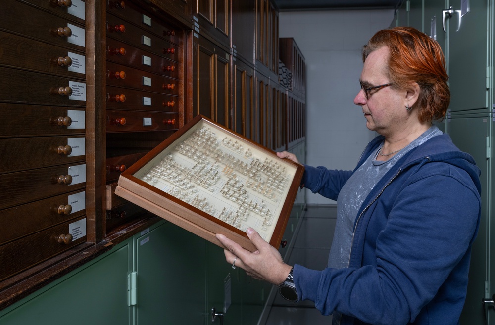 Dr Vladimir Blagoderov, Principal Curator of Invertebrates at National Museums Scotland examines moths which will be digitised as part of the project (Neil Hanna/PA)