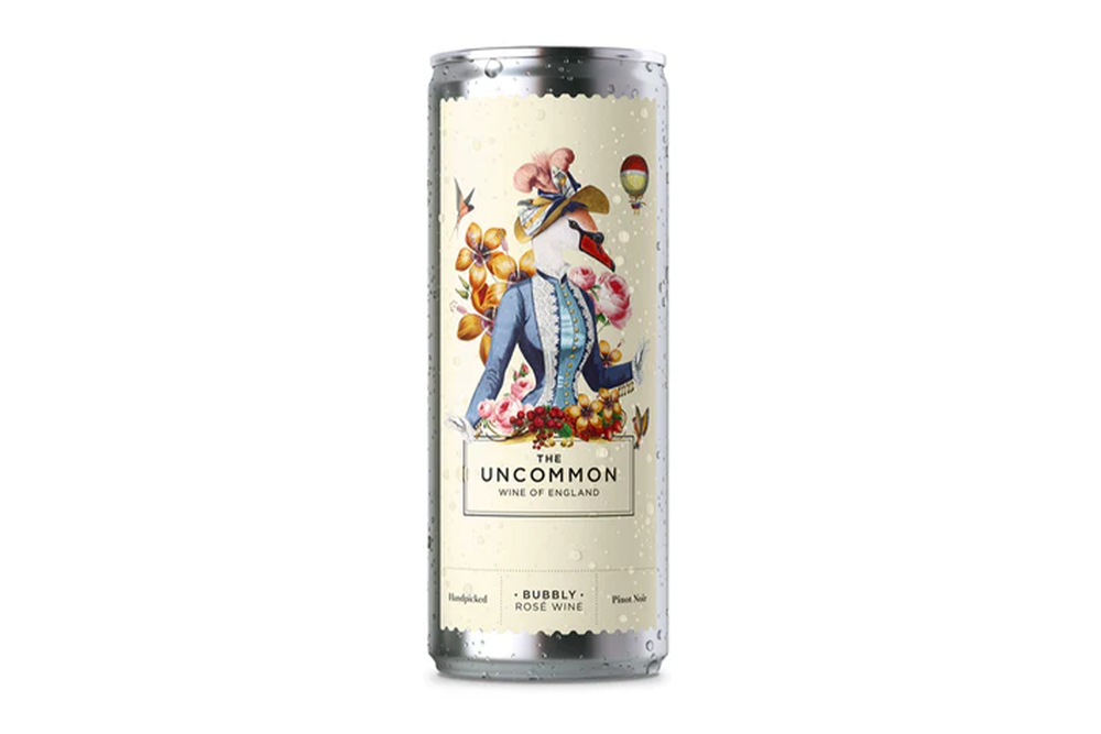 Image from: Best supermarket canned wine for picnics and festivals, chosen by an expert