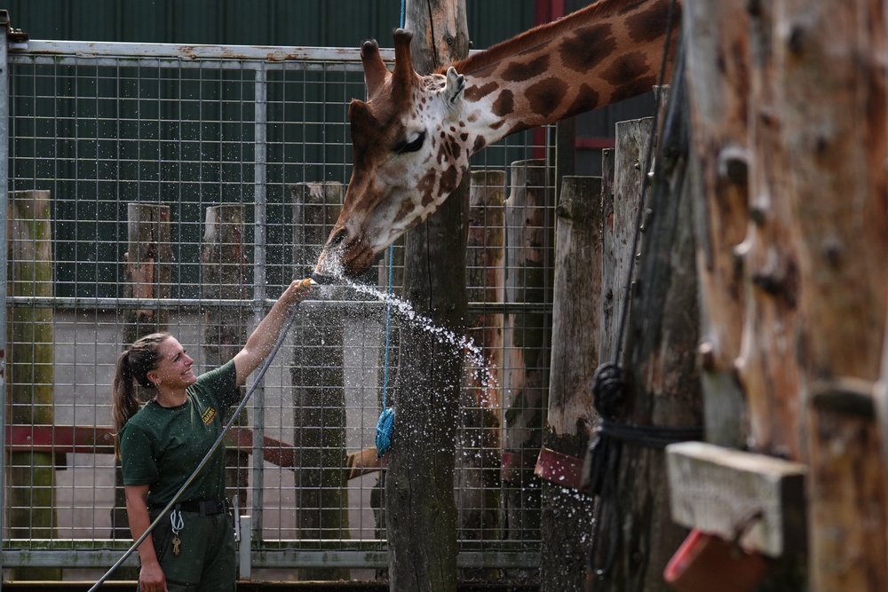 Using hosepipes for animals is allowed (PA)