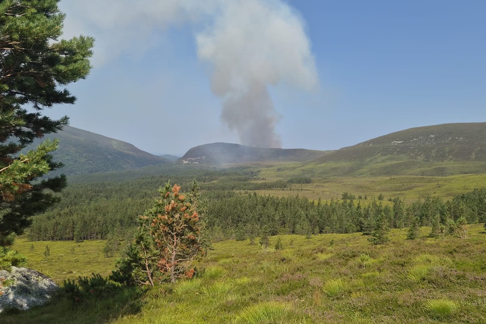 At least 19 wildfires have been recorded by fire services in England over the last heatwaves (PA Media)
