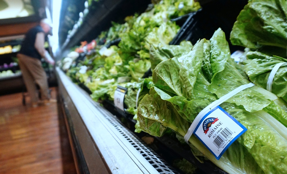 While officials have yet to definitively identify the source of the outbreak, Michigan health officials believe contaminated lettuce may be to blame (AFP via Getty Images)