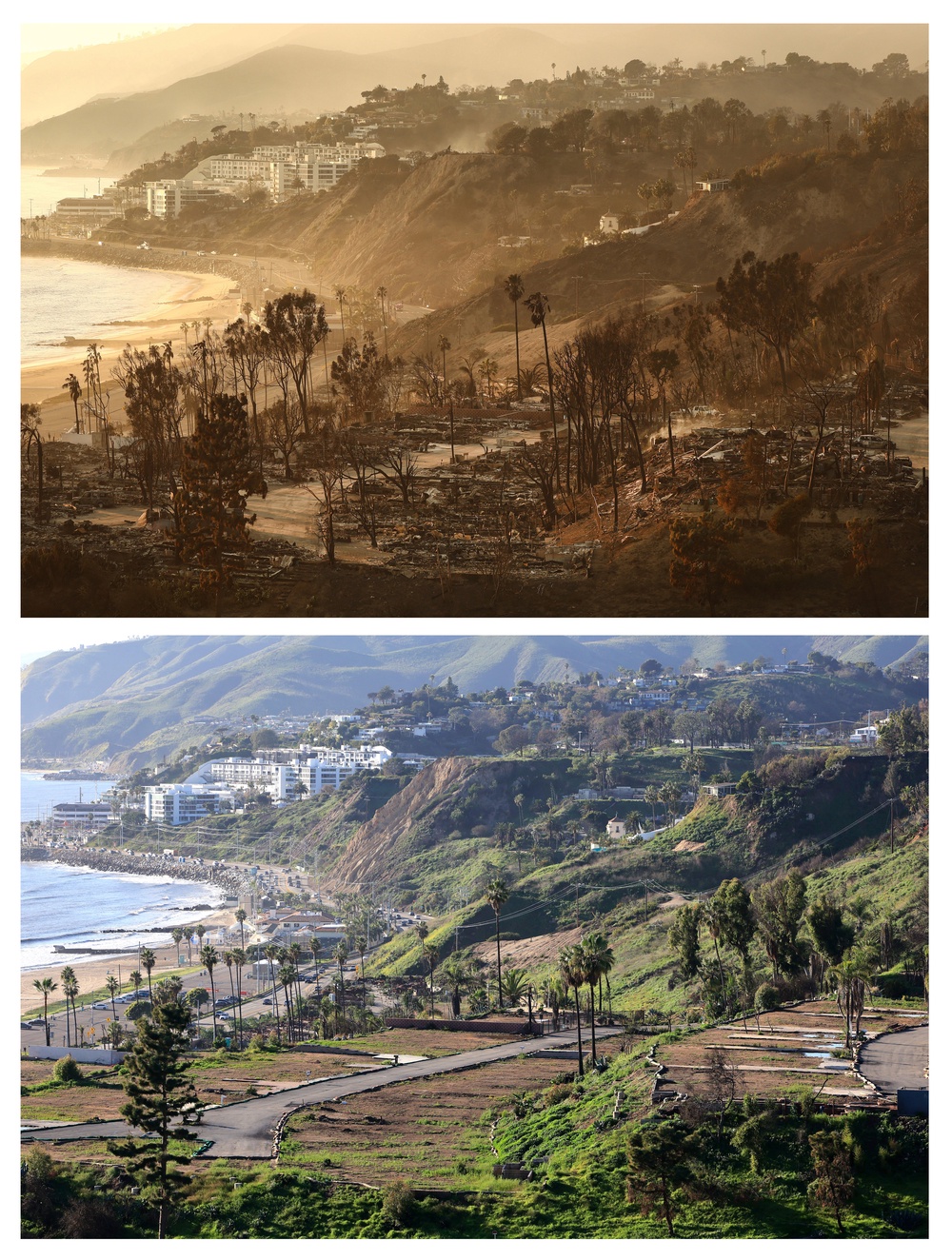 In this before-and-after composite image, a comparison of images from the Palisades Fire (Getty)