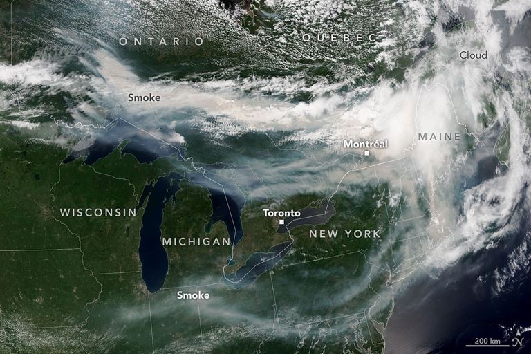 Smoke from Canadian wildfires fires pours eastward over Canada and the U.S. in this Tuesday satellite image from NASA. Wildfire smoke can travel hundreds to thousands of miles (NASA Earth Observatory/Lauren Dauphin)