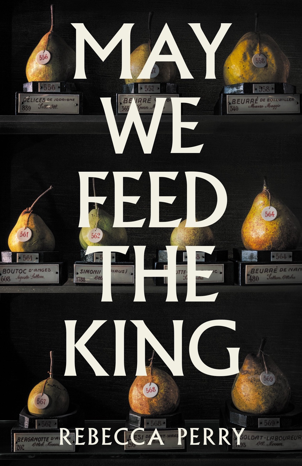 May We Feed The King, which won the prize (Waterstones Debut Fiction Prize)