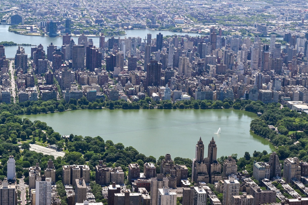 The incident unfolded in NYC's Central Park, according to the NYPD (AFP/Getty)