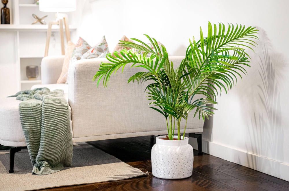 House plants can help add moisture back into the atmosphere