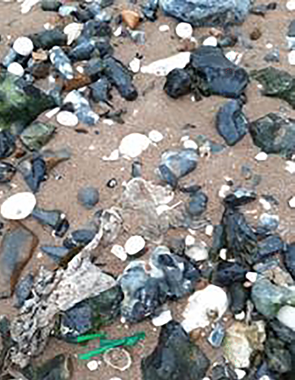 Litter at Botany Bay, Broadstairs (Environment Agency/PA)