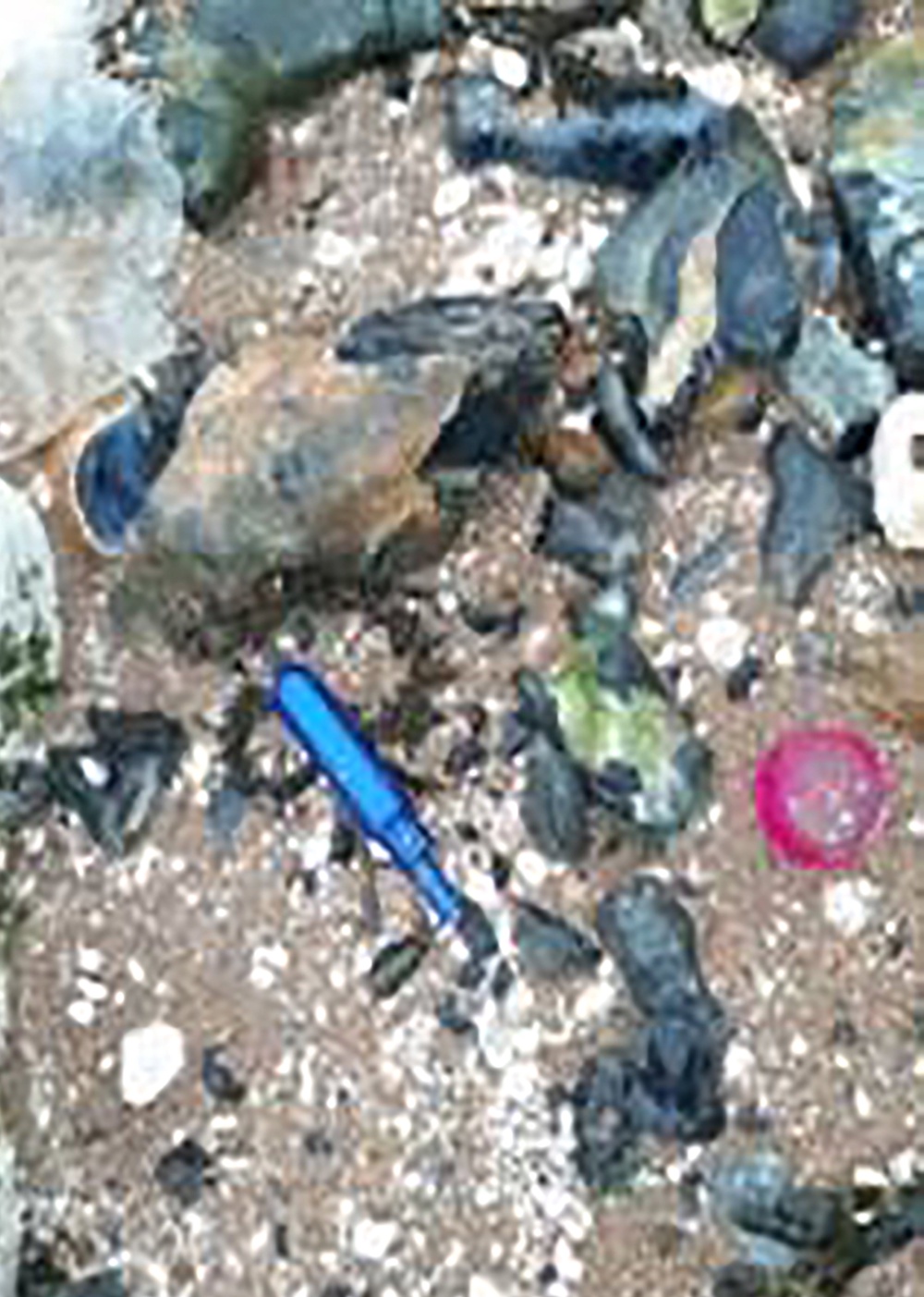 Litter at Botany Bay, Broadstairs, in 2021 (Environment Agency/PA)