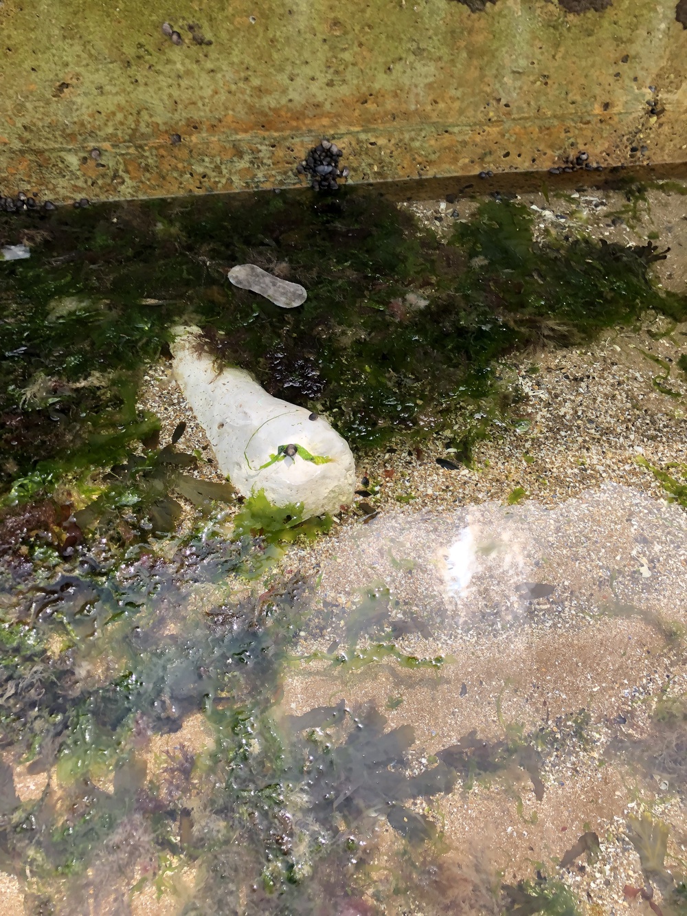 Litter in the water in Margate (Environment Agency/PA)