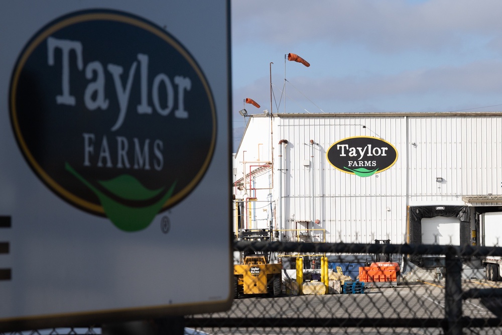 ‘Our thoughts remain with everyone who has fallen ill in this outbreak,’ Taylor Farms said in a Sunday statement. ‘We are committed to working with public health authorities as the ongoing outbreak investigation continues.’ (Getty)