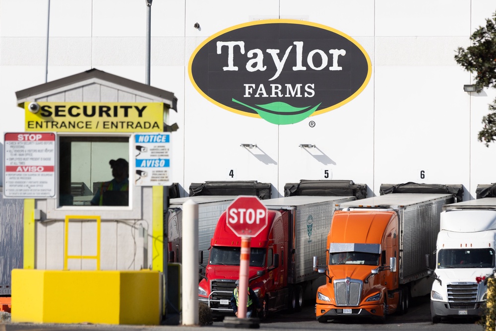 Taylor Farms has issued a voluntary recall of iceberg lettuce sourced from central Mexico (Getty)