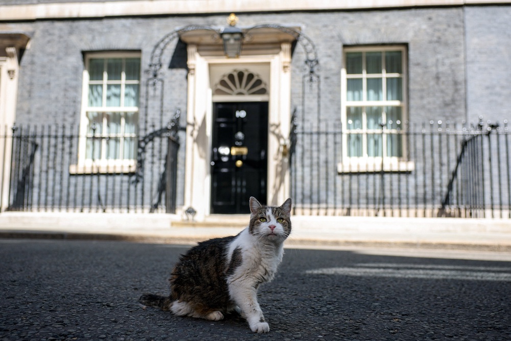 Larry the cat sits outside No. 10 Downing Street after British Prime Minister Keir Starmer delivered a statement and resigned. (Reuters)