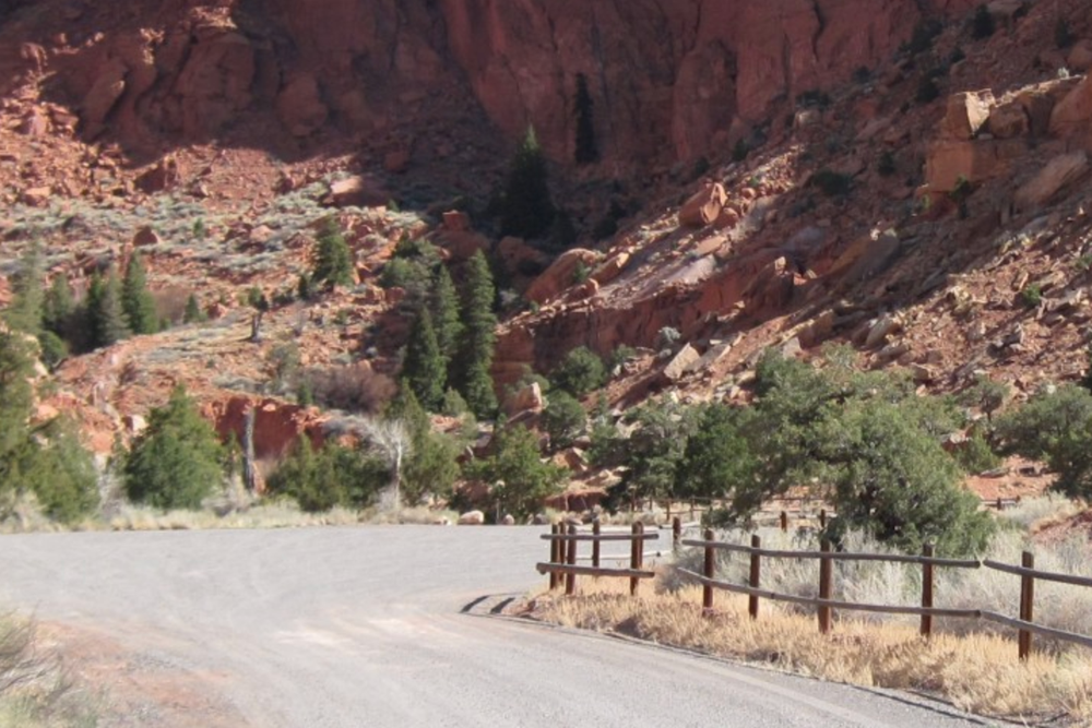 The bodies of five family members were recovered from a canyon near Sunglow Campground in Bicknell, Utah, after heavy rains triggered flash flooding on Friday, according to police (U.S. Department of Agriculture)