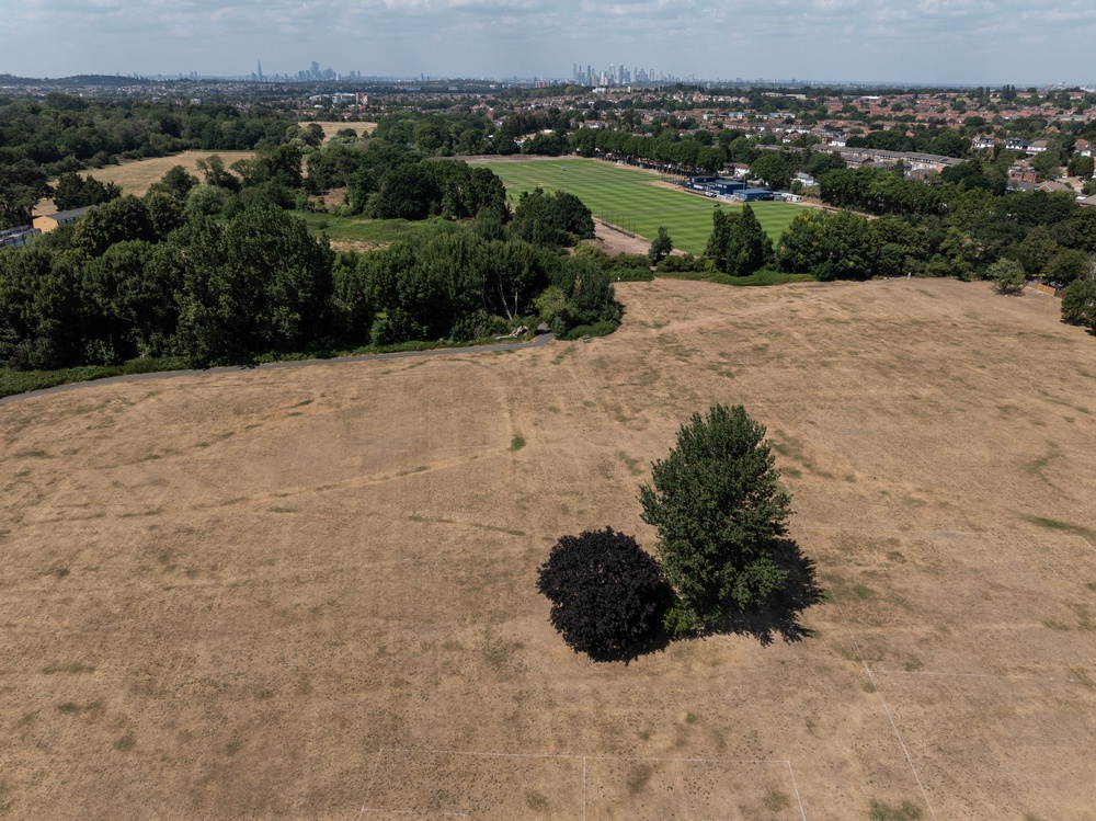 Scorched: Patchwork fields of dead grass will become more prevalent as we endure more dry weather (Getty)