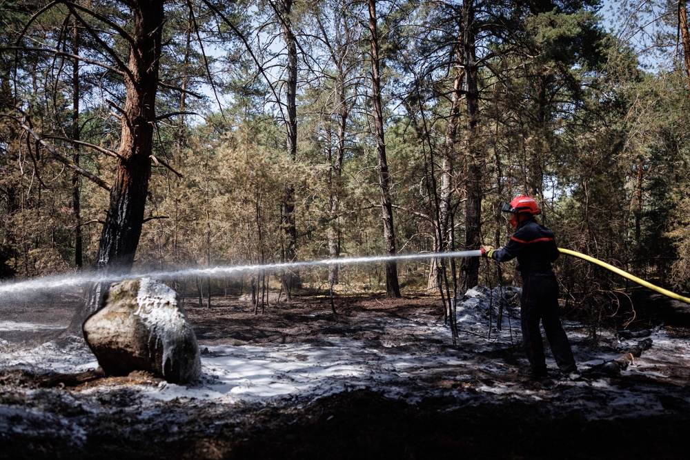 A French firefighter extinguishes a flare-up in the Fontainebleau Forest, one of multiple fires throughout France (AFP/Getty)