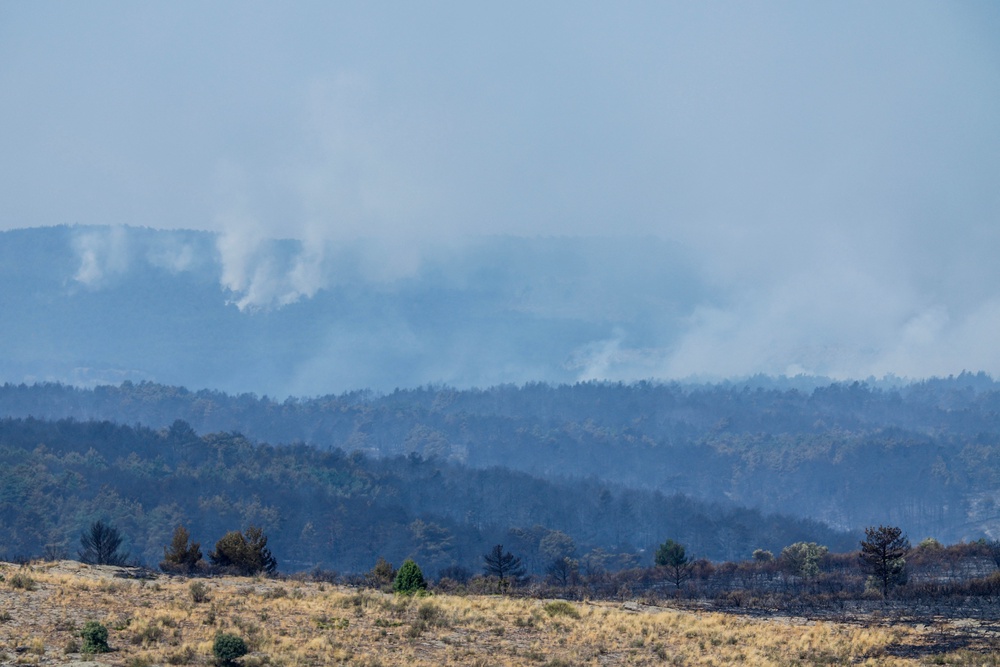Smoke from a wildfire is seen near the town of Albendiego, in the Guadalajara province north of Madrid (AFP/Getty)