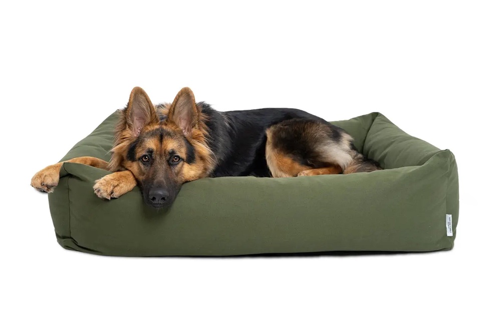 Image from: 12 best dog beds to comfort and support canines of all sizes