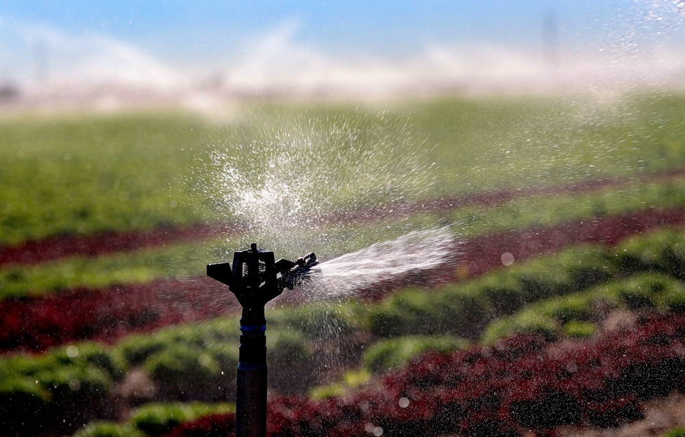 Water irrigating crops can be a source of cyclospora contamination that leads to big outbreaks (AFP via Getty Images)